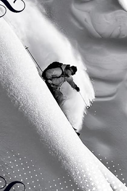 Warren Miller's Dynasty