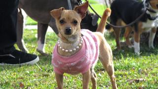 Honeymoon Hell Honeymoon Hell