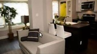 Rushad & Lizzy Rushad & Lizzy