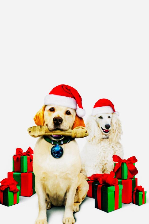 The Dog Who Saved Christmas Vacation