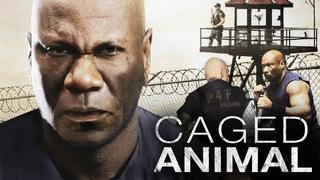 Caged Animal