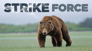 Strike Force