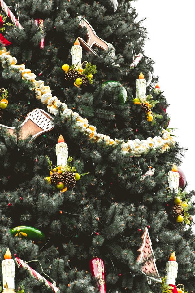 The Real Story of Christmas