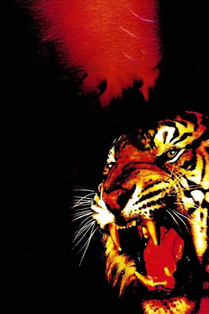 Challenge of the Tiger