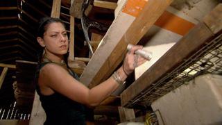 American Pickers