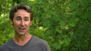 American Pickers