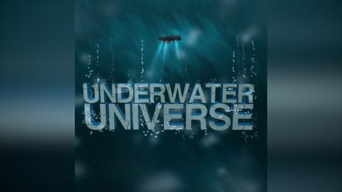 Underwater Universe