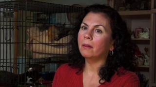 Ventriloquist; Cat Lady Ventriloquist; Cat Lady