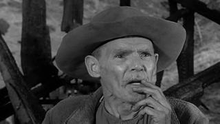 Wagon Train