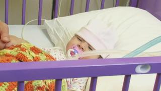 When the Body Shuts Down When the Body Shuts Down