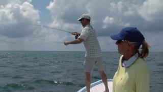 Grey Ghosts Grey Ghosts