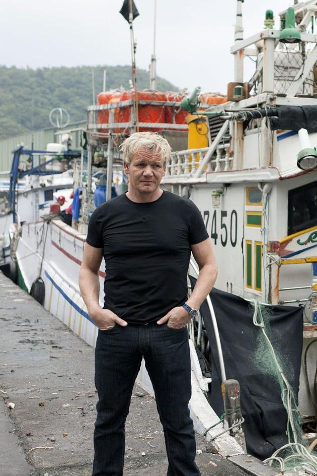 Gordon Ramsay: Shark Bait