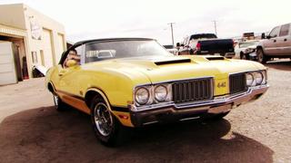 Young vs. Olds
