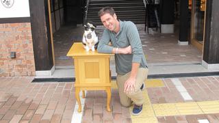 Cat Crazy in Japan Cat Crazy in Japan