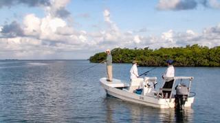 The Lateral Line The Lateral Line