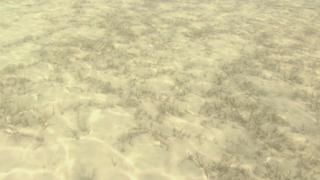 Tippets & Leaders Tippets & Leaders