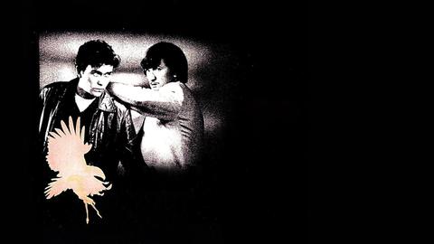 The Falcon and the Snowman