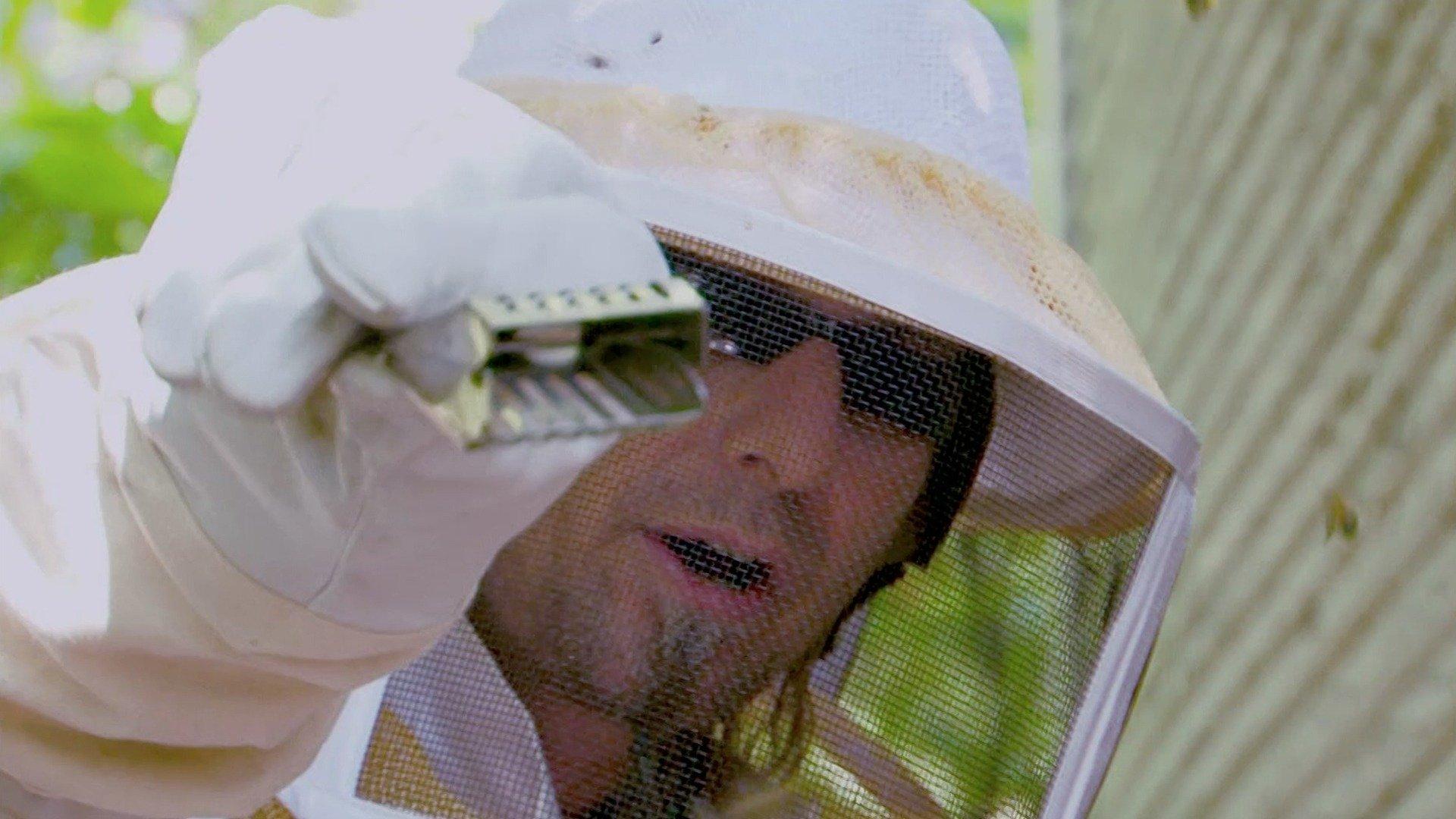 Watch Billy the Exterminator: S5E7 - Backyard Swarm on Philo (Free Trial)