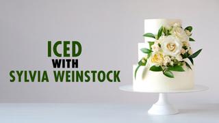 Iced with Sylvia Weinstock