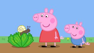 Tiny Creatures; Daddy Pig's Office; Pirate Island; George Catches a Cold; The Balloon Ride Tiny Creatures; Daddy Pig's Office; Pirate Island; George Catches a Cold; The Balloon Ride