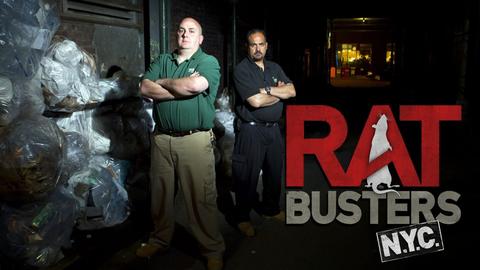 Rat Busters NYC