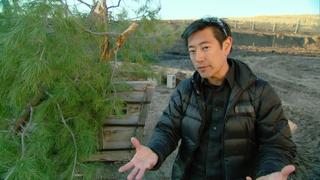 MythBusters