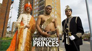 Undercover Princes