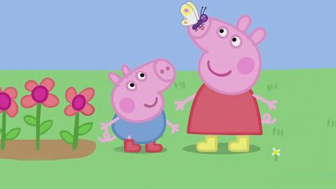 Frogs and Worms and Butterflies; The Tree House; The Playgroup; Treasure Hunt; The New Car