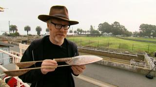 MythBusters