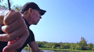 Swamp People