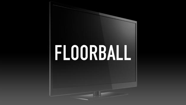 Floorball