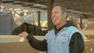 American Restoration