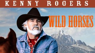  watch Wild Horses