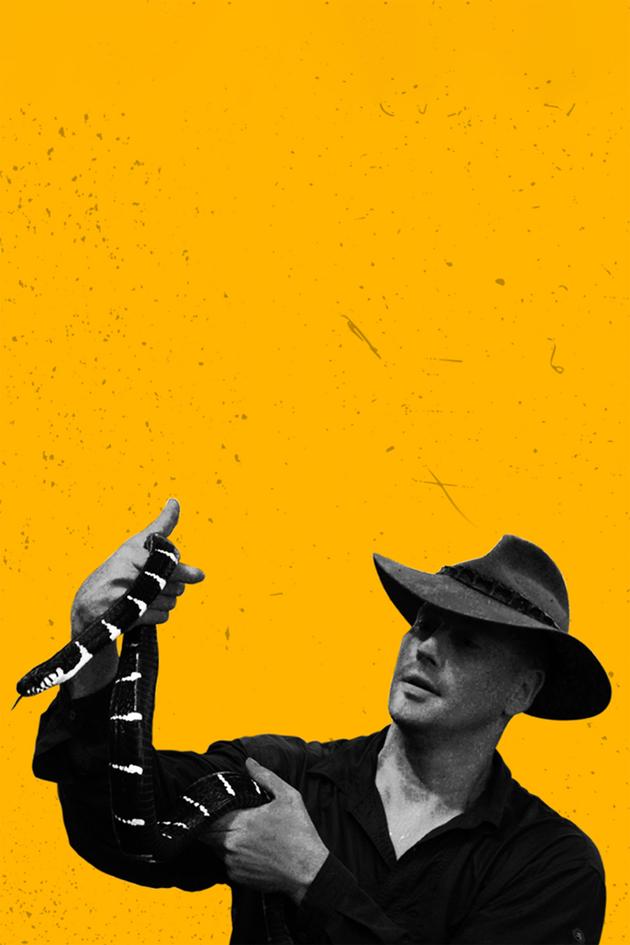 Asia's Deadliest Snakes