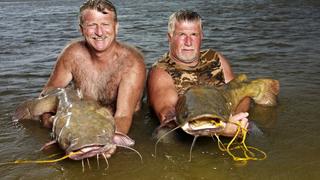 Catfish Are Wicked Cute Catfish Are Wicked Cute