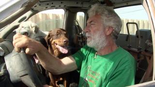 My Truck's Filled with Dogs My Truck's Filled with Dogs