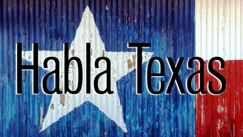 Habla Texas