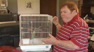 Confessions: Animal Hoarding