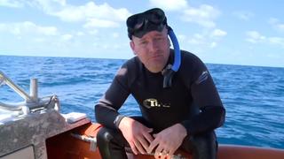 Sea Lions and Humpback Whales Sea Lions and Humpback Whales