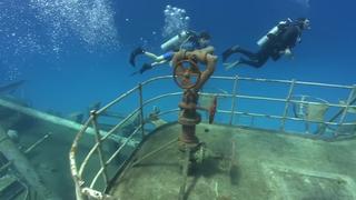 Jake Learns to Dive and Curacao Dolphins Jake Learns to Dive and Curacao Dolphins