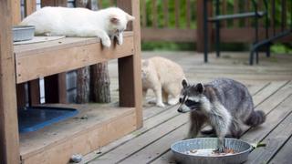 Who's the Boss? Who's the Boss?