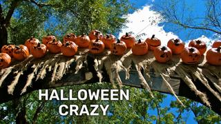 Halloween Crazy