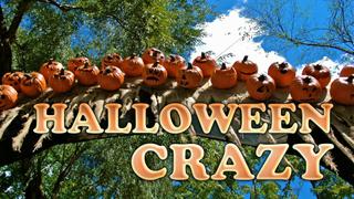  watch Halloween Crazy