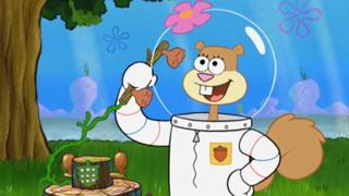 SpongeBob SquarePants