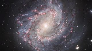 Hubble's Renaissance