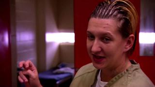 The Nature of the Beast The Nature of the Beast