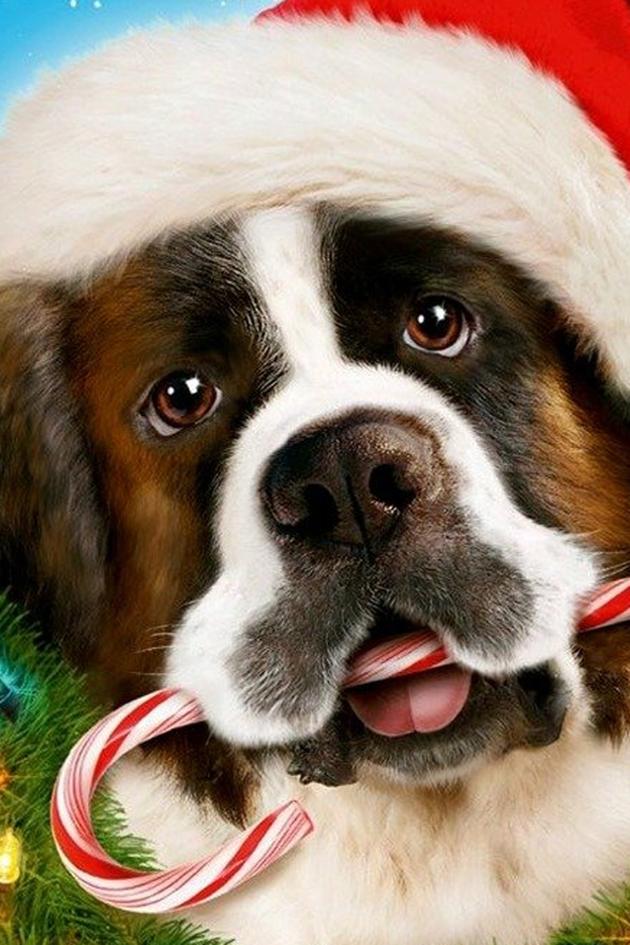 Beethoven's Christmas Adventure