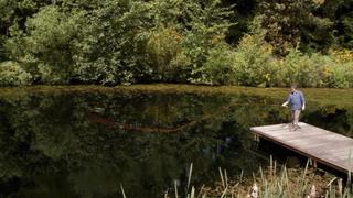 Sage Fly Fishing, Kazoo & Sock Monkey
