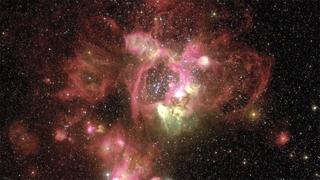 Stargazer's Paradise Stargazer's Paradise