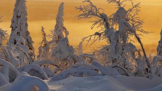 Planet Earth: Frozen Planet